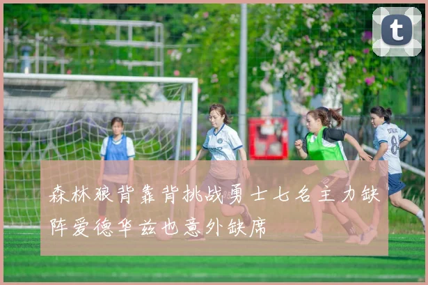 森林狼背靠背挑战勇士七名主力缺阵爱德华兹也意外缺席